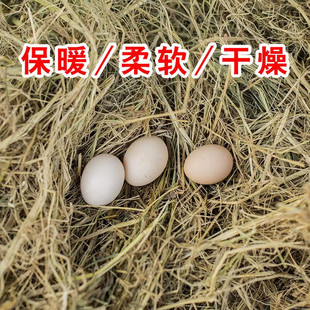 С�u�ɵ�����ϸɃ����C���C��Ȼ���؉|���݉|����|ţ�����r