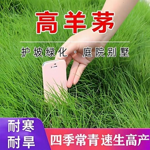 �M���{�˸���é�ݷN���ļ��L����Ѱ����ͺ��ͺ�ͥԺ�G���ļ��o��
