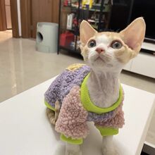 �oë؈��؈�·������ӽq��ů���l�³��Ȳ���ë���Sֱ�N���uͨ�羳