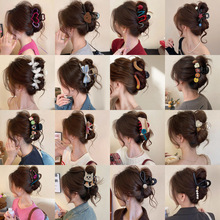 �OӋ��ײɫץ�AŮ2026�¿�߼������~�A��̖�l������X�װl�A�^�