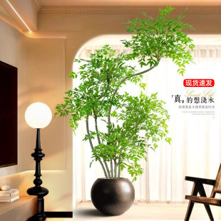 ����������߶��p���L�٘��҃ȿ͏d�b[������쾰�����Gֲ����