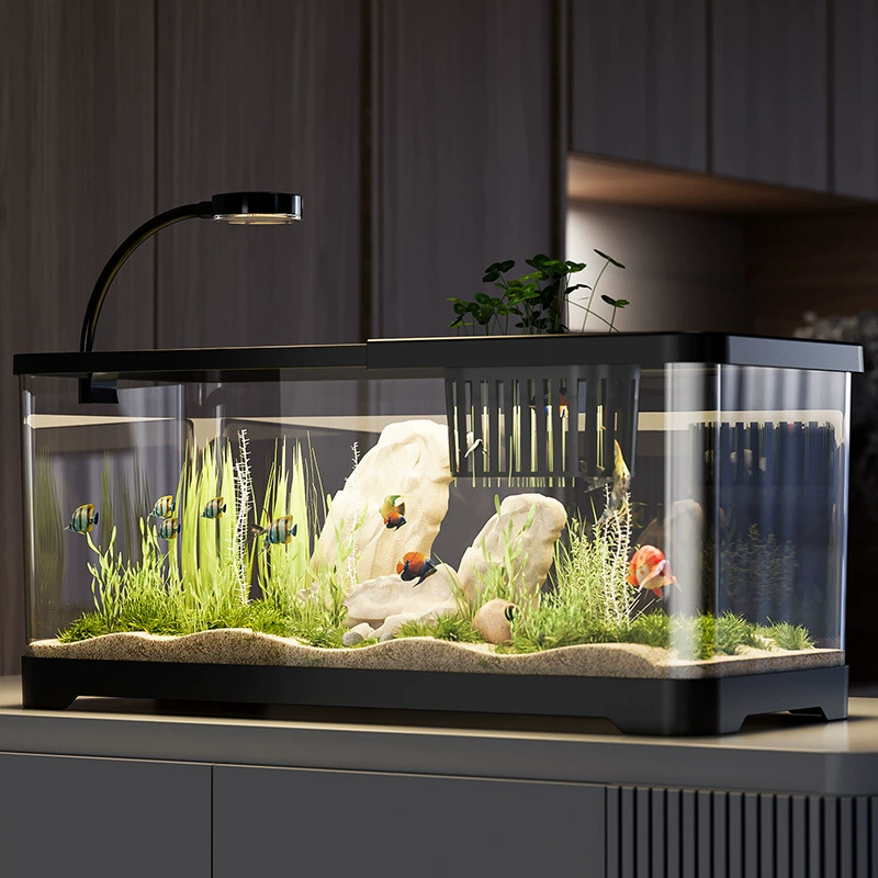 Настольный аквариум для гостиной, микроландшафт с крышкой, экологичный аквариум с украшениями, гидропонная посадка, аквариум для золотых рыбок