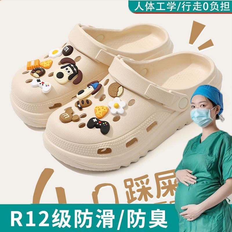 샌드 컬러【리더 독】