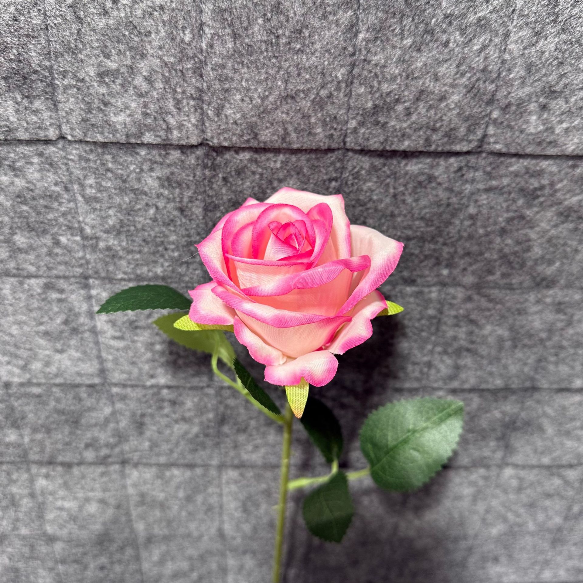 딥 그라데이션 핑크