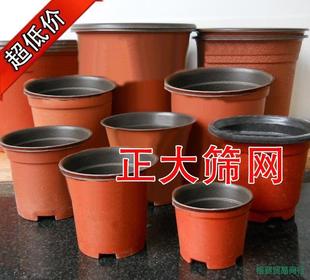 �pɫ��������ͥԺ�����������̨�������ϻ����������I�B��