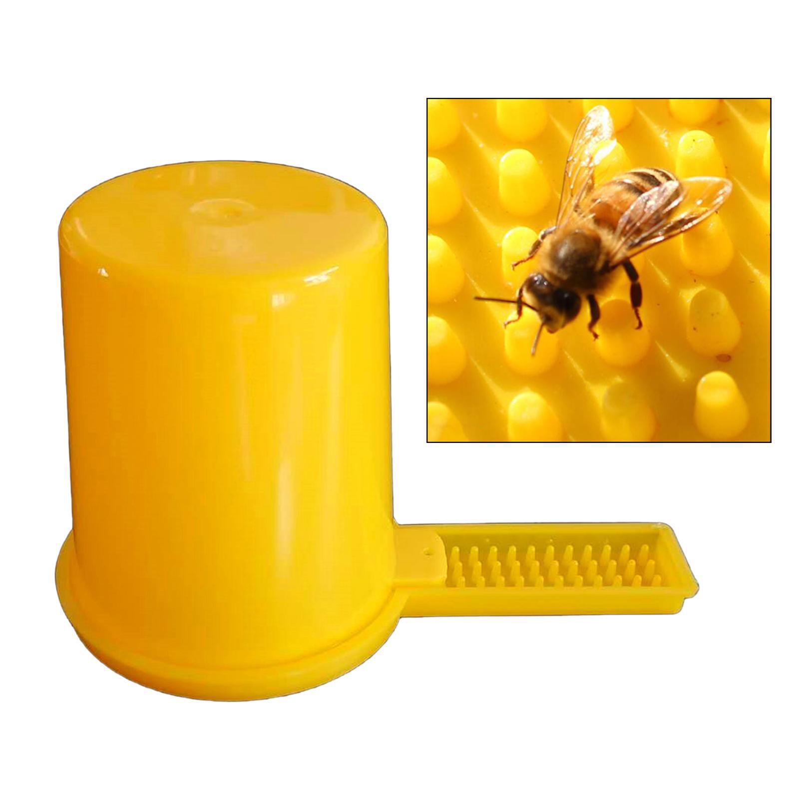 Beekeeping Feeder Bee Feeder Feeding Drinking Bee Tool Plastic Beekeeping Tool Drinking Water Watering