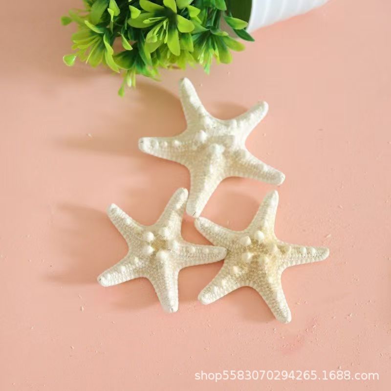 Conchas de caracoles naturales vendidas por kilogramo de cangrejos de estrellas de mar reemplazar conchas acuarios paisajísticos botellas a deriva materiales de pintura a mano