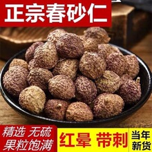 ꖴ�ɰ�ʏV�|���ڴ�ɰ�ʸɹ�ɰ���Ҝ�������ș��ș������ɳ��