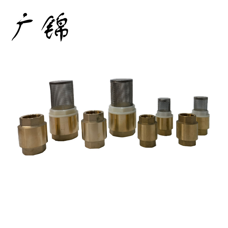 黄铜止回阀   单向止回阀 双内丝 铜芯 塑料芯