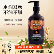 佳韵生姜去屑清爽洗发水滋润止痒持久留香洗发露酒店宾馆摆地摊