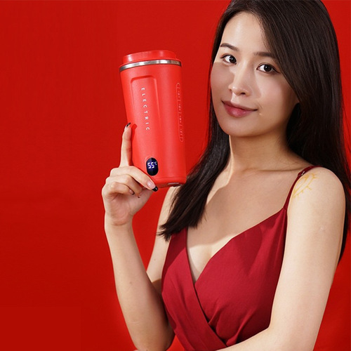 110V220V Weibili cross-border electric hot water cup kettle health cup electric stew pot temperature display coffee cup gift