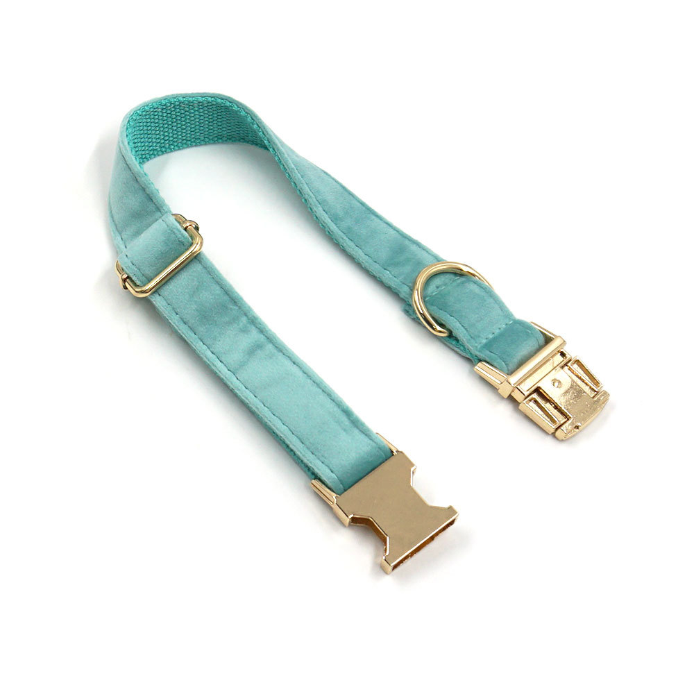 Gold Buckle Dog Collar