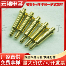 pogopin������~僽��{�����C��늺��P���ۆ�ᘶ���B������