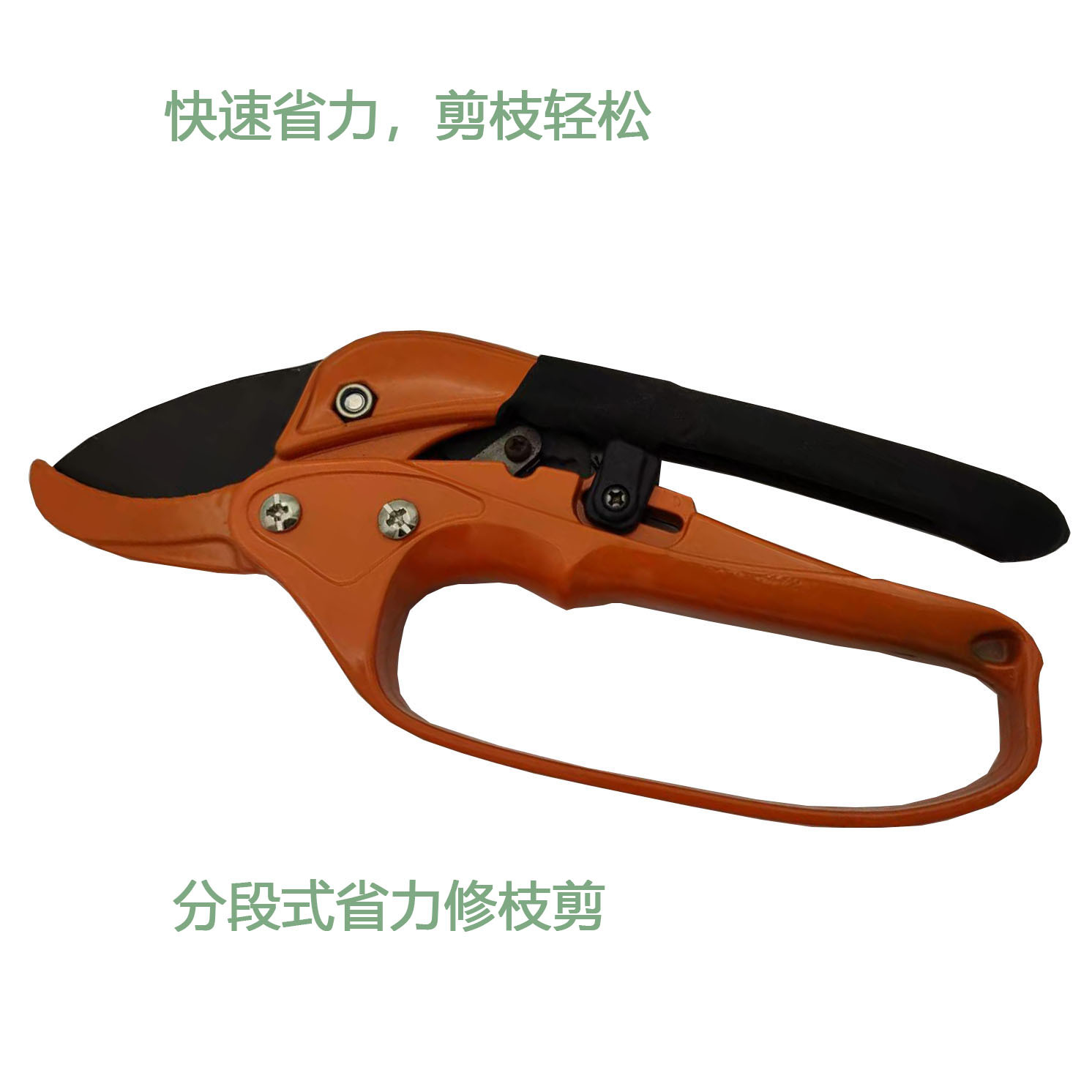 微信图片_202202151353104