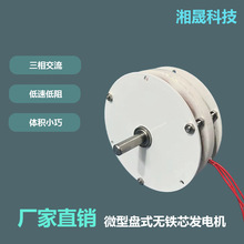 微型盘式无铁芯永磁无刷发电机迷你厚款薄款其他