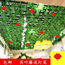 �پGֲ�����~���ټٻ������~���ٗl���Ͻ����b��ڒ���ɽ�����