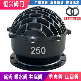 H42X-6法兰底阀 单向阀止回阀 铸铁水泵底阀DN50 80 100 150 200