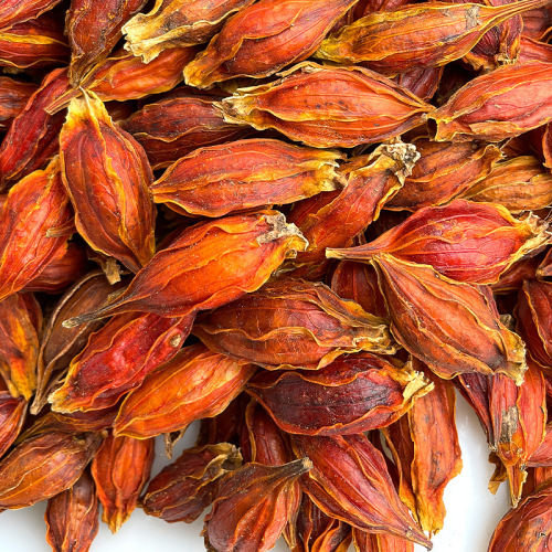 Huayuanliangpin Red Gardenia 100 pounds hand-picked plump yellow gardenia 500 grams gardenia tea mountain gardenia flower tea twigs yellow