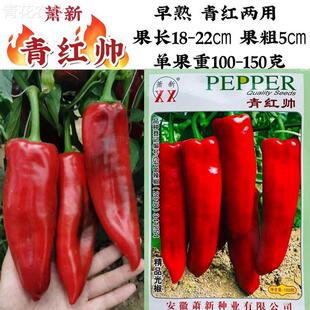 New Large Red Pepper Seeds, Green and Red, Handsome Green and Red Dual-Purpose Pepper Seeds, Thick and Long Horn-Shaped Light Pepper Seeds, Early Maturing
