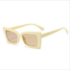 Fashionable sunglasses, white glasses, 2021 collection, European style, internet celebrity