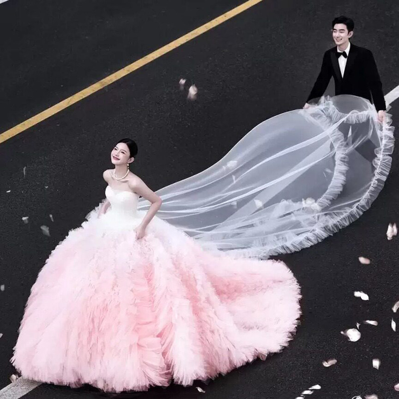 Photo Studio Photography Clothing Street Style Sweet Pink Strapless Wedding Dress Women's Heavy-Duty Trailing Tutu Skirt Dreamy Princess Gown Photo Studio Photography Clothing Street Style Sweet Pink Strapless Wedding Dress Women's Heavy-Duty Trailing Tutu Skirt Dreamy Princess Gown