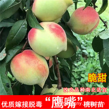 �������� �Ҙ���޽��� �Bƽ���Ҙ��� ˮ������ �Ϸ������Nֲ����