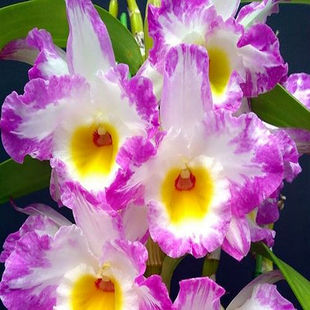 ̨����ʯ��������󻨝������m���ܻ������lʯ���m��ˮʯ����Ʒ��