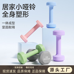 女士健身家用器材儿童男士纯铁套装组合小哑铃小学练臂肌浸塑哑铃