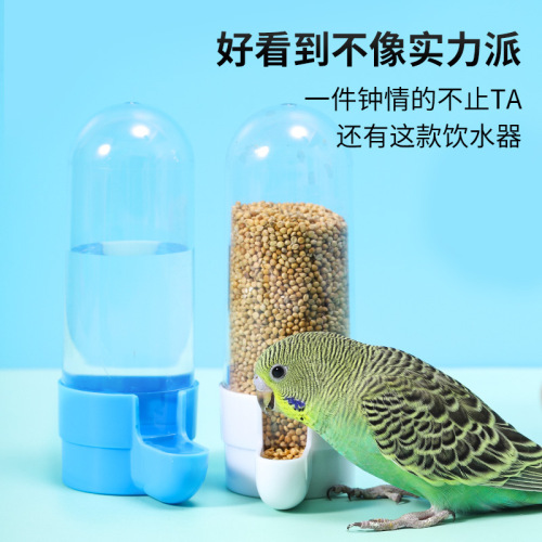 Parrot automatic feeding water feeder bird water dispenser feeder food box bird food tank bird cage accessories bird supplies