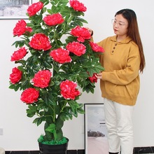 ٻ[O͏dĵֲ҃bƷϷGֲ