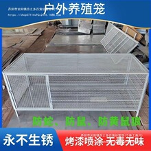 鸡笼鸽笼兔笼家禽笼防鼠防蛇防黄鼠狼家用养殖厂家直销冲孔网