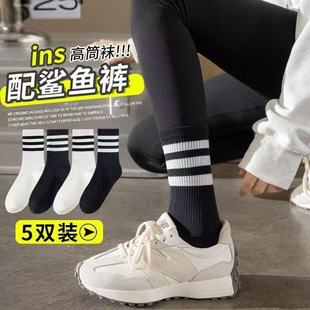 Shark pants socks women's three-bar cotton socks four seasons net red three-bar fashion autumn and winter wear sports stockings