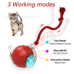 跨境宠物玩具球逗猫球狗猫咪自嗨解闷神器宠物玩具宠物用品猫玩具