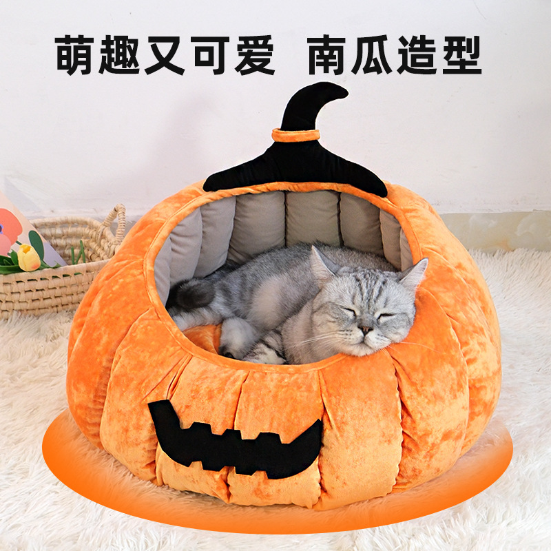주황색 호박 둥지
