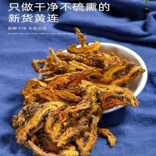 �S�B��ș���S�BƬ �uצ�S�B ��ș�Ƭ�S�B�� ���B��ș�����l���l