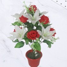 12�^�ٺ�����õ����潁���b[�Ų廨�����ֈ@���������ٻ���c