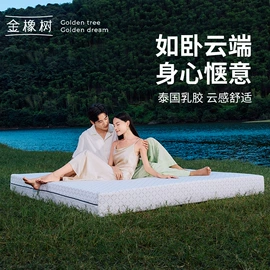 乳胶枕;乳胶床垫;U型枕