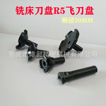 ㊴R5A ㊴w R5AǵP30/50/80A㊵P wP