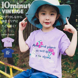 安谷猿宝2026夏季新款迪桑麻棉儿童卡通印花字母短袖t恤女童上衣