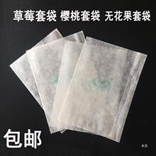 草莓专用套袋樱桃柿子套袋育果袋冬枣果袋防水防虫病害无花果套袋