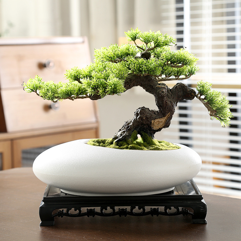 Chinese Creative Personalized Large Diameter Coarse Pottery Breathable Phalaenopsis Bonsai Bonsai Ceramic Fleshy Moso Orchid Flower Pot Chinese Creative Personalized Large Diameter Coarse Pottery Breathable Phalaenopsis Bonsai Bonsai Ceramic Fleshy Moso Orchid Flower Pot