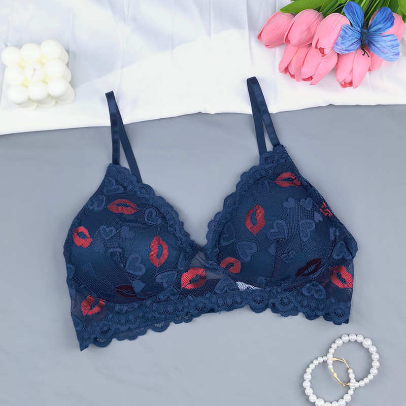 Transfronterizos tamaño europeo y americano marca labial de encaje transpirable delgado bordado damas bra comercio exterior bra Amazon al por mayor