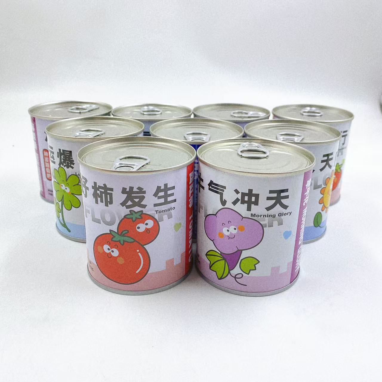Plantas para niños, macetas, latas, cajas de hierro, flores, flores, plantas verdes, bricolaje hecho a mano, cajas ciegas, plantas pequeñas en macetas, diversión image 3