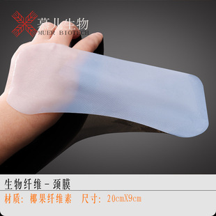 �羳���������w�S��Ĥ��Ҭ���w�S�؟o������ˮ��Ĥ��