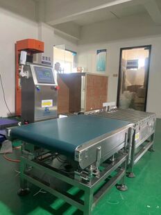 Automatic Belt Check Weigher Automatic Weighing Machine
