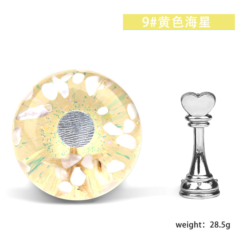 09 # Estrella de mar amarilla