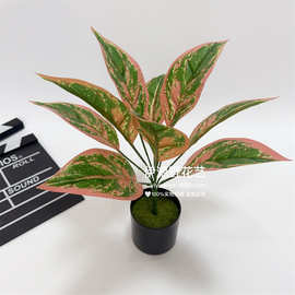 仿真植物墙配饰花假花装饰玉兰叶万年青手感绿植把束草坪工程配材