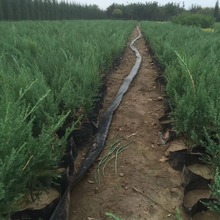 �F��ɳ�ذ������������ذ�С����ӈA�ؾG�h���½��A�������ľ