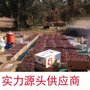 ɳ�ذ�������Ҭ��ɳĮ����ϰ��خaҬ�������l�rһ�����lһ���S��