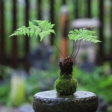 ˮ��̦�\��ȥ��ȩֲ���҃��k��������ϲꎾGֲ��������̦��lؔ��